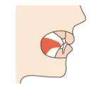 舌の位置異常や癖